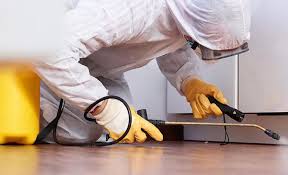 Best Fumigation Services  in Penryn, CA